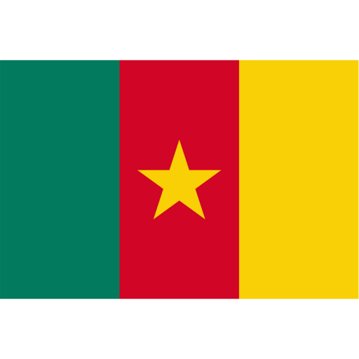 Drapeau du Cameroun Cameroun