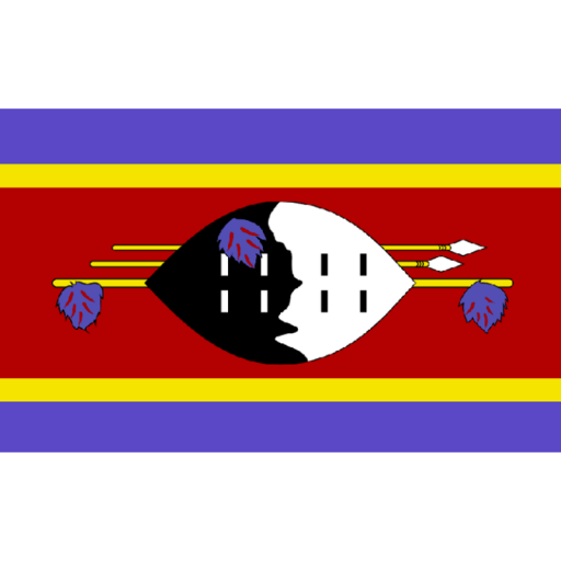 Le football en Eswatini Eswatini