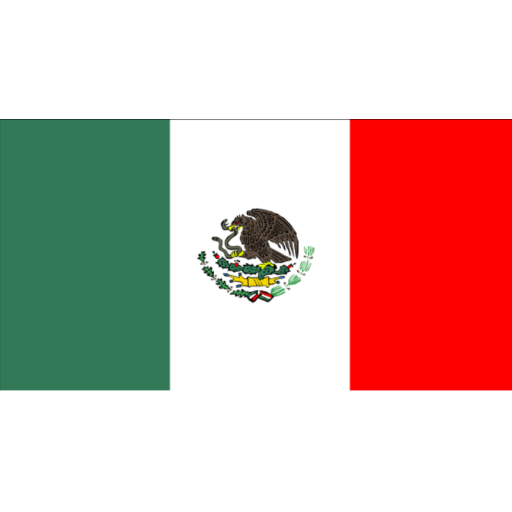 멕시코 축구 멕시코