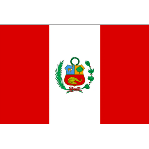 페루 축구 페루