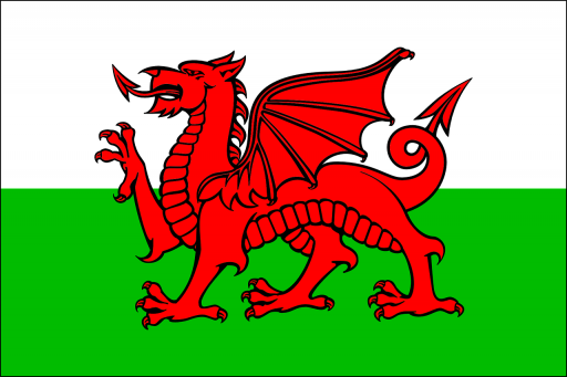 Welsh clubs and Wales football teams clubs and Wales football teams