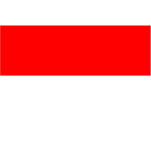 Indonesia football Indonesia